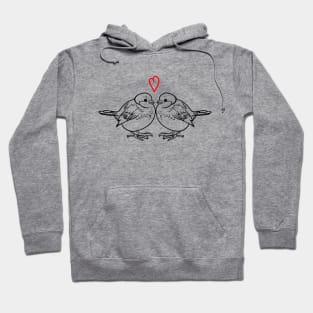 Two spring birds in love Hoodie